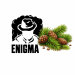 Табак Enigma Elixir (Сосна) 100 г 